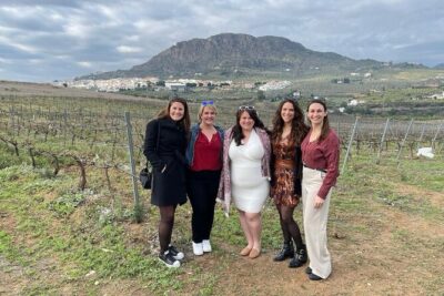 Malaga Organic Vineyard and Winery Six Wines Tapas and Transfer - Viñedo Malvajio: pesticide-free vines, sea views, and the “quiet wow” moment