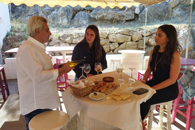 Malaga Organic Vineyard and Winery Six Wines Tapas and Transfer - The people behind the experience: guides, Antonio, and that small-group energy