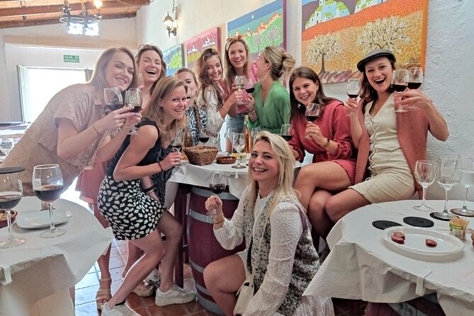 Malaga Organic Vineyard and Winery Six Wines Tapas and Transfer - Transport, comfort, and timing: a 4–5 hour day that doesn’t waste your time