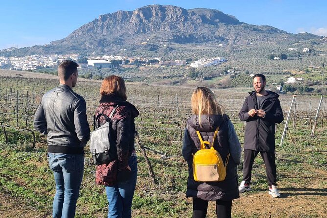 Malaga Organic Vineyard and Winery Six Wines Tapas and Transfer - Price and value: why $114.93 can make sense here