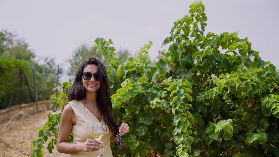 Malaga: Organic Vineyard Tour with 6 Wines, Tapas & Transfer - How the private transfer and small group change everything