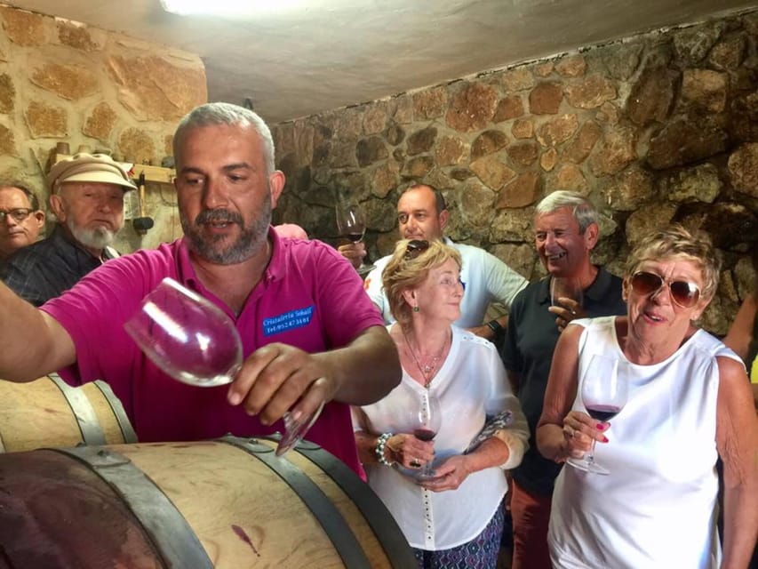 Malaga: Organic Vineyard Tour with 6 Wines, Tapas & Transfer - FAQ