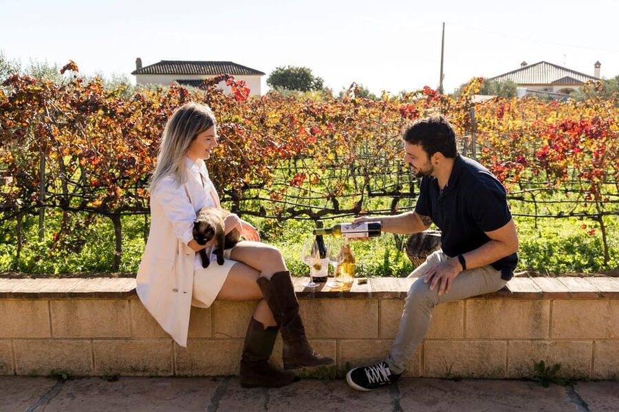 Malaga: Organic Vineyard Tour with 6 Wines, Tapas & Transfer - Viñedo Malvajio: walking the vines and meeting the farm side of wine