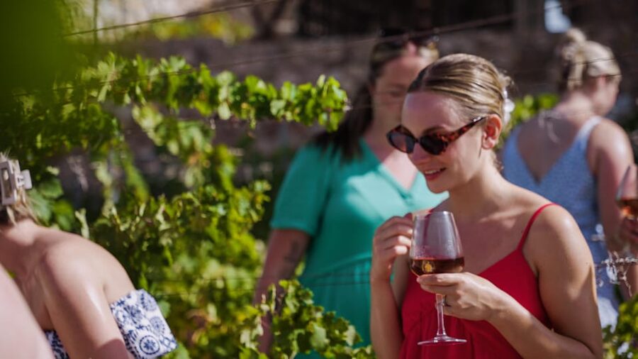 Malaga: Organic Vineyard Tour with 6 Wines, Tapas & Transfer - The 6 wines: organic, sulphite-free style, and not just one type