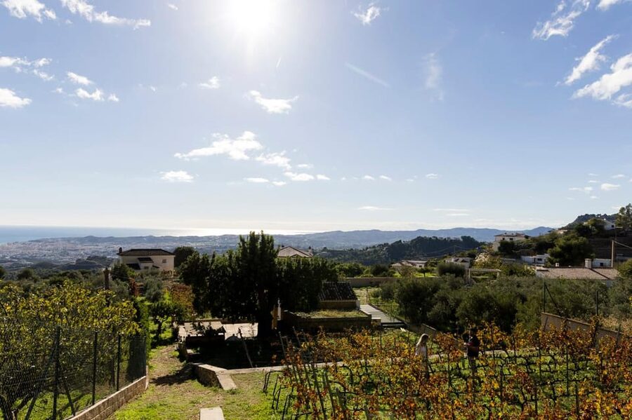 Malaga: Organic Vineyard Tour with 6 Wines, Tapas & Transfer - Value check: is $112 worth it for 4.5 hours?