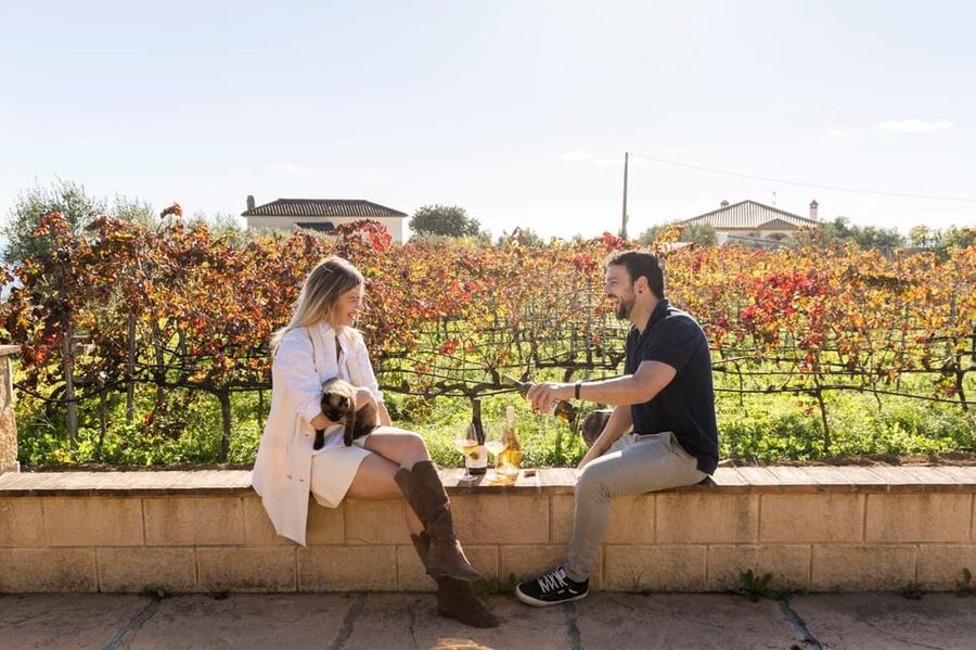 Malaga: Organic Vineyard Tour with 6 Wines, Tapas & Transfer - Should you book this organic vineyard tour from Málaga?
