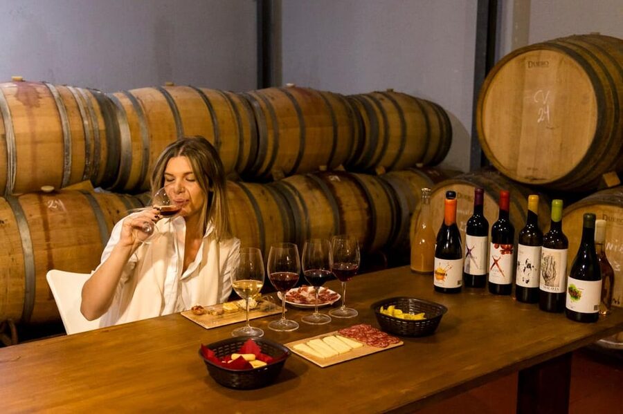 Malaga: Organic Vineyard Tour with 6 Wines, Tapas & Transfer - Inside the “garage winery”: the barrel tasting is the star