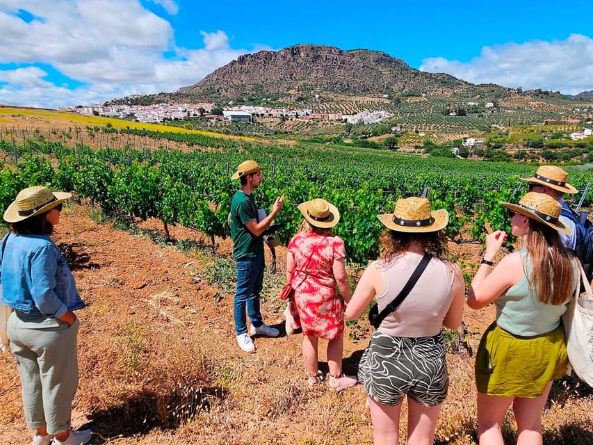 Malaga: White Village, Vineyard, and Wine Tasting Wine Tour - Museum stop and guided wandering in Álora (what you’ll actually do)