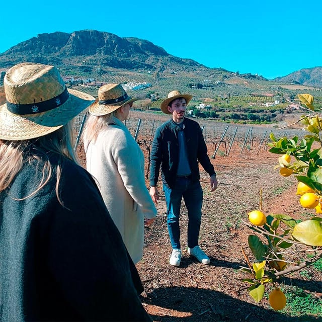 Malaga: White Village, Vineyard, and Wine Tasting Wine Tour - A second stop with viewpoints and walking time for photos
