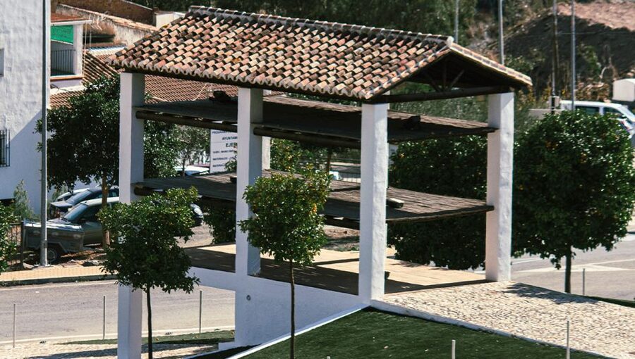 Malaga: White Village, Vineyard, and Wine Tasting Wine Tour - Vineyard countryside walk: grape varieties meet real scenery