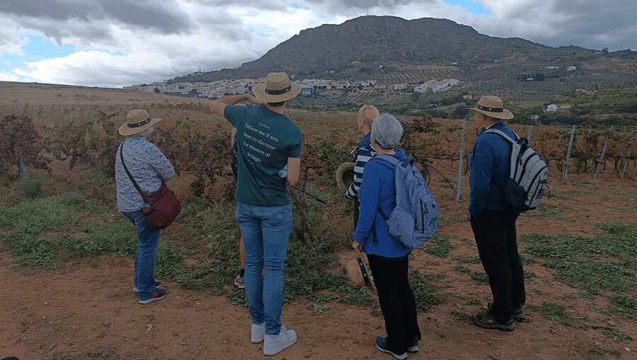Malaga: White Village, Vineyard, and Wine Tasting Wine Tour - Bodegas Pérez Hidalgo: 4-wine tasting, tapas, and time to shop