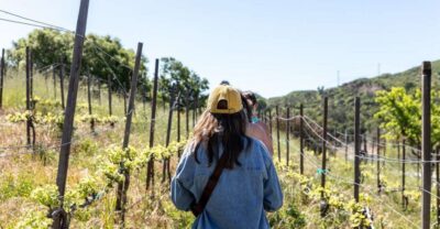 Malibu: Guided Vineyard Hike with Photo Stops and Wine - Vineyards, photo stops, and the wine-to-go finish line