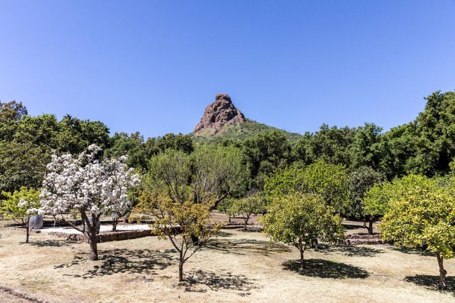 Malibu: Guided Vineyard Hike with Photo Stops and Wine - The 20-minute secret stop: rest, conversation, and tasting moments