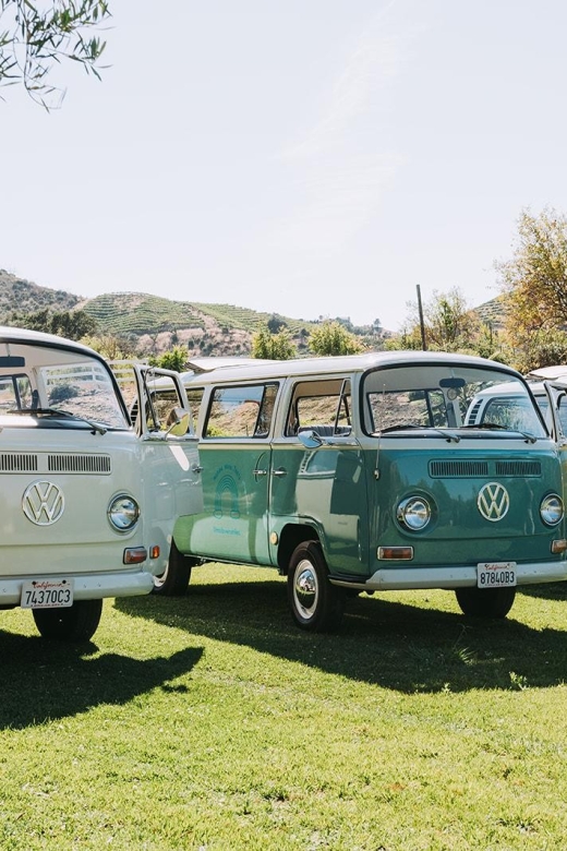 Malibu: Vintage VW Bus and Vineyard Tour - Price check: is $99 worth it for 2 hours?