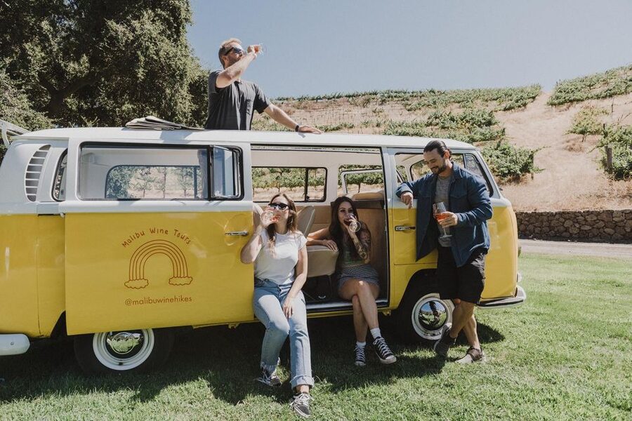 Malibu: Vintage VW Bus and Vineyard Tour - Who should book this tour (and who might not)