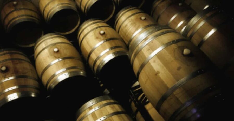 Mallorca: Bodega Butxet Vineyards & Winery Tour with Tasting - Key highlights to look for