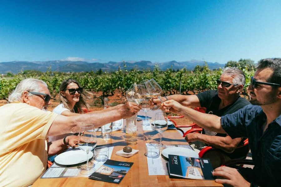 Mallorca: Bodegas Ángel Winery Tour with Wine Tasting - Key highlights you’ll feel right away