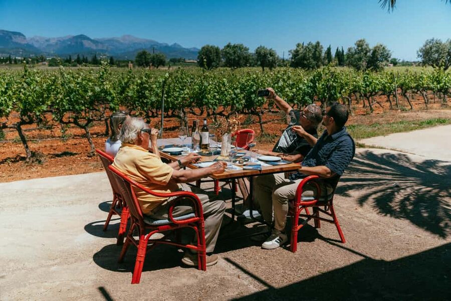 Mallorca: Bodegas Ángel Winery Tour with Wine Tasting - Why Bodegas Ángel feels different on Mallorca