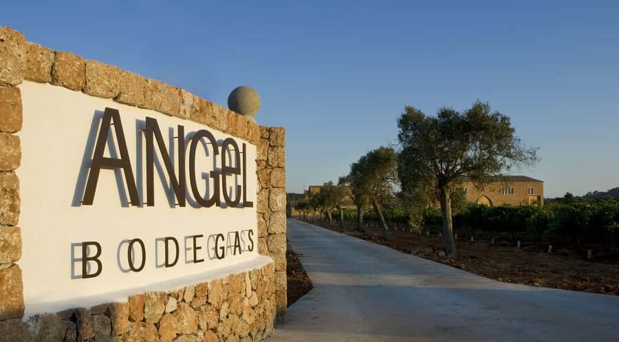 Mallorca: Bodegas Ángel Winery Tour with Wine Tasting - What the 4 wines teach you about Mallorca