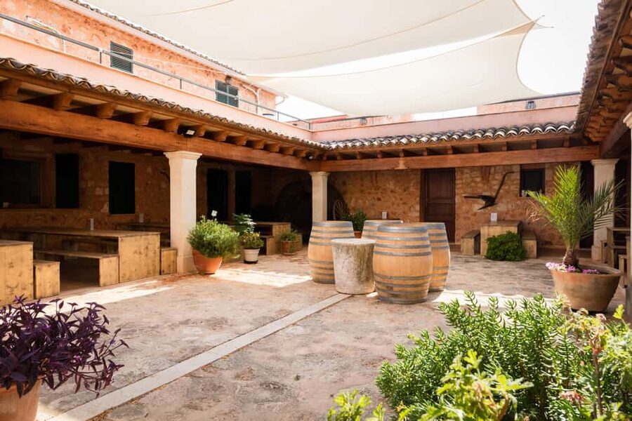 Mallorca: Bodegas Ángel Winery Tour with Wine Tasting - Your two-hour flow: vineyards, facilities, and the tasting set