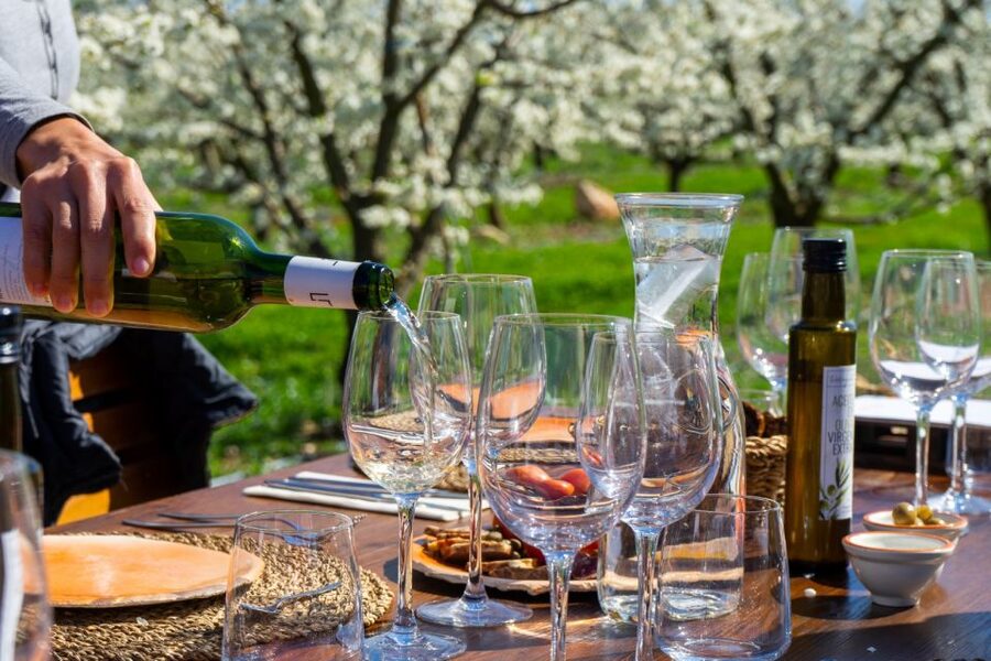 Mallorca: Full-Day Winery Small Group Tour - Mallorca’s interior sets the tone for wine tasting