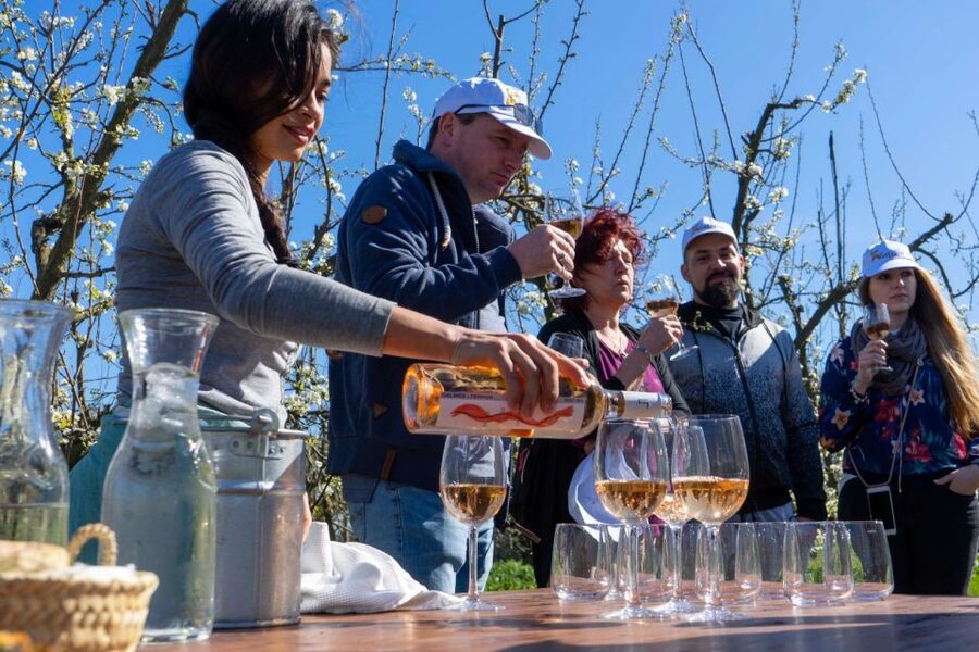 Mallorca: Full-Day Winery Small Group Tour - Practicalities: what to pack and what to watch for