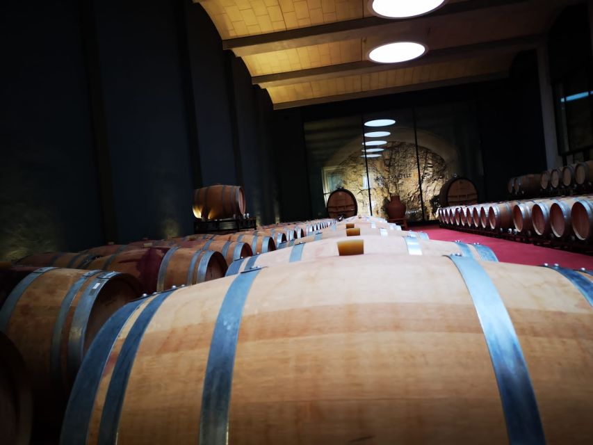 Mallorca: Full-Day Winery Small Group Tour - The small-group setup (8 max) changes everything
