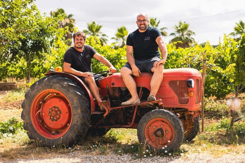 Mallorca: Visit a winery and enjoy a wine tasting, along with some Mallorcan products - Pla de Buc, Santa Maria’s wine zone: the vineyard walk you came for