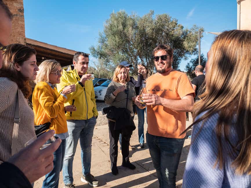 Mallorca: Visit a winery and enjoy a wine tasting, along with some Mallorcan products - Who this tour is best for (and who should pick something else)