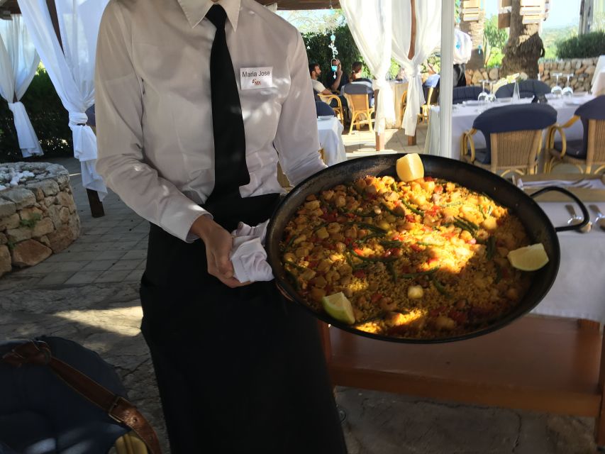 Mallorcan Family Winery Authentic Wine Tasting Experience - The vineyard and barrel cellar tour that actually teaches