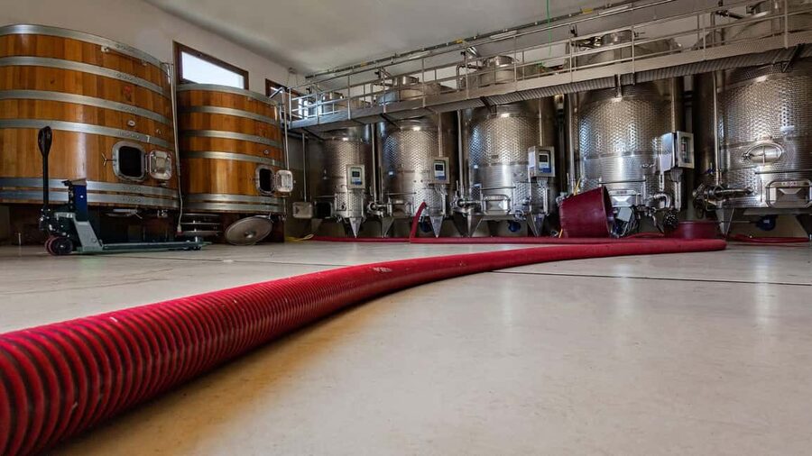 Mamoiada: visit a winery with wine tasting - Key highlights worth planning for