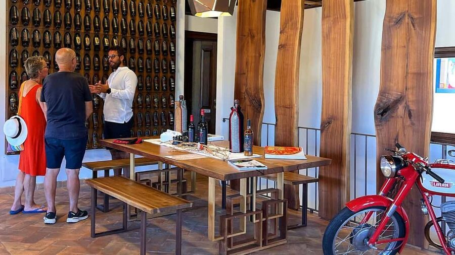Mamoiada: visit a winery with wine tasting - Who this winery visit is for (and who should skip it)
