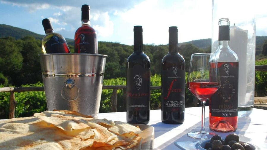 Mamoiada: visit a winery with wine tasting - The cellar and underground tunnel: where you feel Sardinia’s winemaking logic