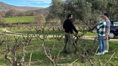 Mamoiada: visit a winery with wine tasting - Getting oriented inside the winery (and why that start matters)