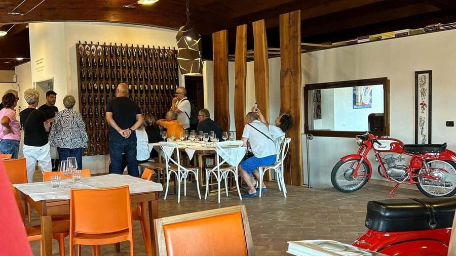 Mamoiada: visit a winery with wine tasting - Price and logistics: how to judge the $91 ticket fairly