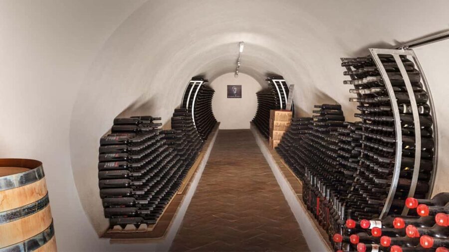 Mamoiada: visit a winery with wine tasting - Practical tips so you enjoy every minute