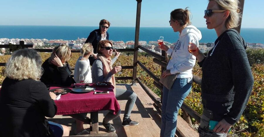 Manilva: Nilva Vineyard, Wine Tasting & Tapas Guided Tour - Key Things I’d Mark on Your Mental Map