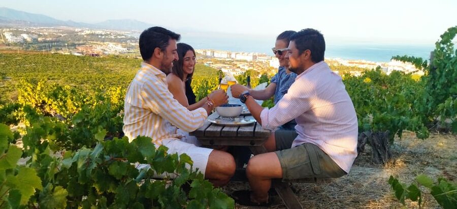 Manilva: Nilva Vineyard, Wine Tasting & Tapas Guided Tour - Manilva’s Wine Country Setting: Sea Views at the Edge of Africa
