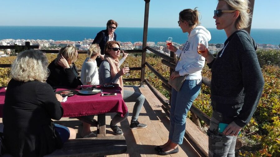 Manilva: Nilva Vineyard, Wine Tasting & Tapas Guided Tour - The Small Winery Visit: Nilva’s Maker-First Approach