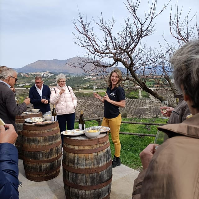 Manilva: Nilva Vineyard, Wine Tasting & Tapas Guided Tour - Vineyard Tasting at Viña del Peñoncillo: Wines, Tapas, and Sunset Views