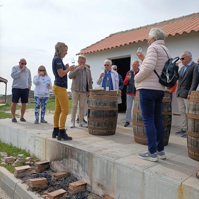 Manilva: Nilva Vineyard, Wine Tasting & Tapas Guided Tour - Who This Tour Is Best For (and Who Might Prefer Another Option)
