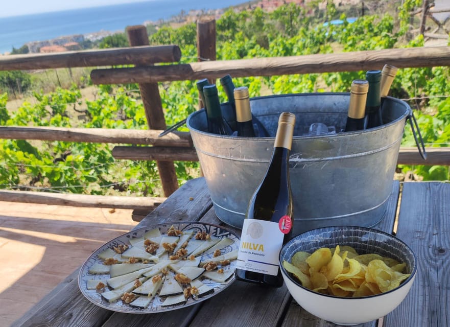 Manilva: Nilva Vineyard, Wine Tasting & Tapas Guided Tour - Should You Book Nilva’s Manilva Wine & Tapas Guided Tour?