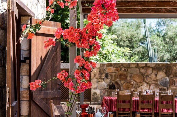 Manousakis Winery Shuttle Service Tour and Taste - Who This Tour Fits Best (and Who Might Skip It)