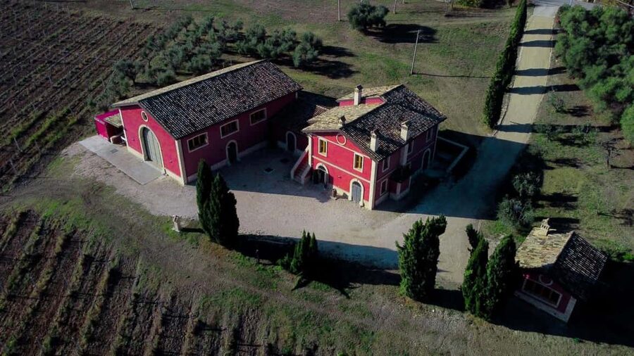 Marche: Tasting and Tour of Local Wines and Flavors at the D'Erasmo Winery - Key points worth knowing before you go
