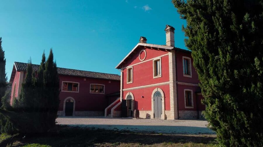 Marche: Tasting and Tour of Local Wines and Flavors at the D'Erasmo Winery - Cantina DErasmo in Piceno: what a 2-hour tasting tour really delivers