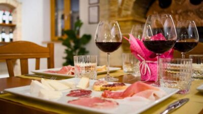 Marche: Tasting and Tour of Local Wines and Flavors at the D'Erasmo Winery - Vineyard view to cellar work: where the tour builds real context