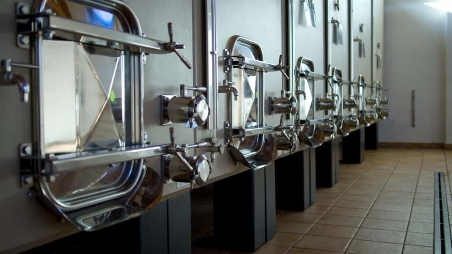 Marche: Tasting and Tour of Local Wines and Flavors at the D'Erasmo Winery - The tasting lineup: what to expect from the 3 DErasmo wines