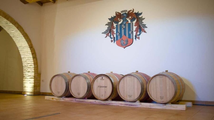 Marche: Tasting and Tour of Local Wines and Flavors at the D'Erasmo Winery - Dietary needs and intolerances: how to make it work smoothly