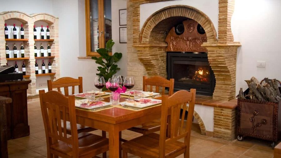 Marche: Tasting and Tour of Local Wines and Flavors at the D'Erasmo Winery - Who should book this tour (and who might want to skip it)