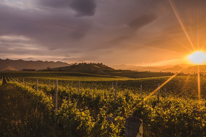 Marlborough Winery Tour - A Day of Cuisine & Wine 6hrs - Price and Value: Is $152.04 Worth It?